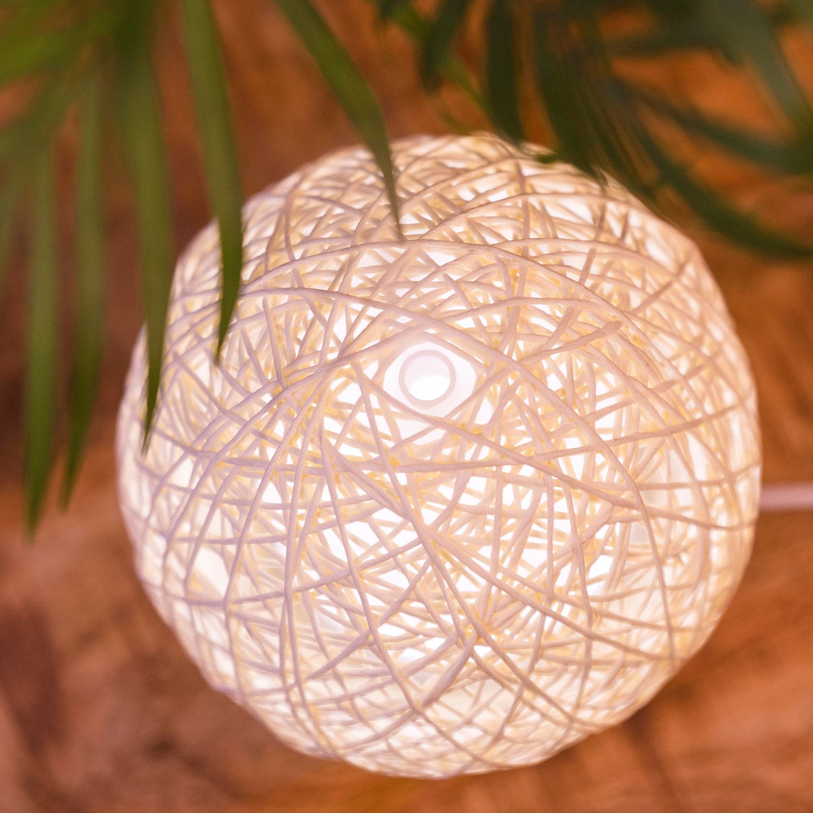 The Rio Lola Aroma Diffuser, Humidifier and Night Light features a round design with a white crisscross pattern, glowing warmly on wood with green leaves above—ideal for creating a tranquil atmosphere in your room.